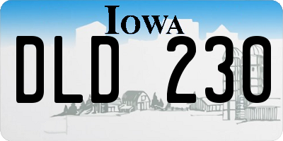 IA license plate DLD230