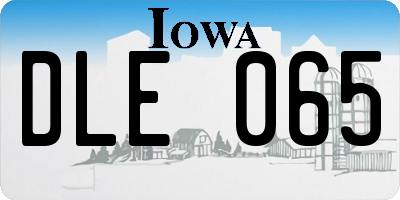 IA license plate DLE065