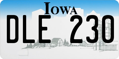 IA license plate DLE230