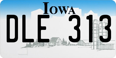 IA license plate DLE313