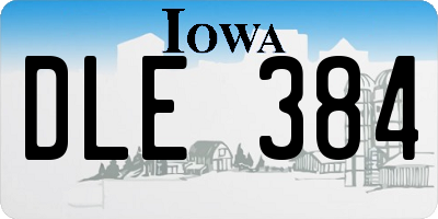 IA license plate DLE384