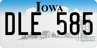 IA license plate DLE585