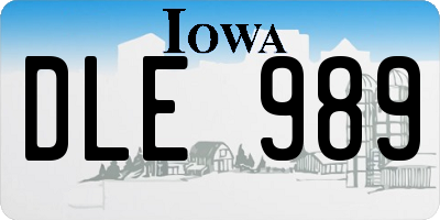 IA license plate DLE989