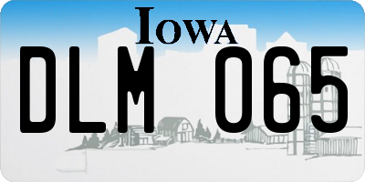 IA license plate DLM065