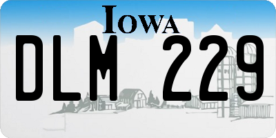 IA license plate DLM229