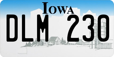 IA license plate DLM230