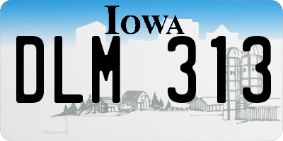 IA license plate DLM313