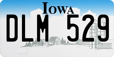 IA license plate DLM529