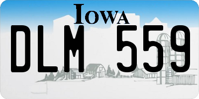 IA license plate DLM559