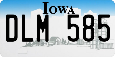 IA license plate DLM585