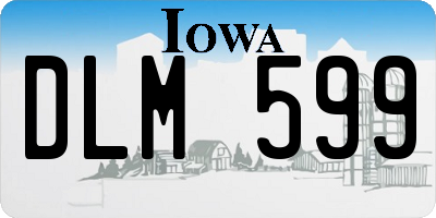 IA license plate DLM599