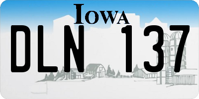 IA license plate DLN137