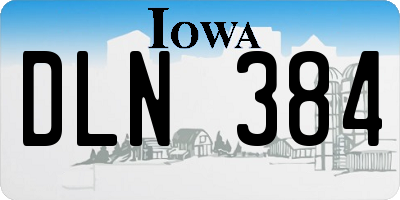 IA license plate DLN384