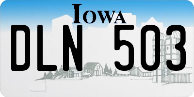 IA license plate DLN503