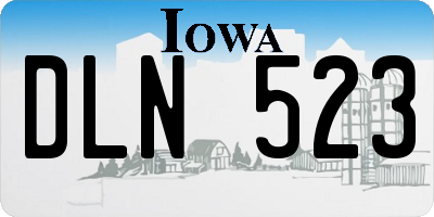 IA license plate DLN523