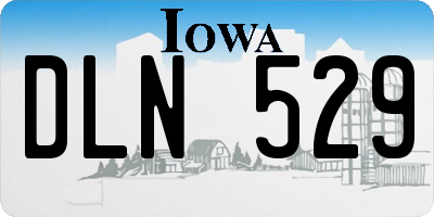 IA license plate DLN529