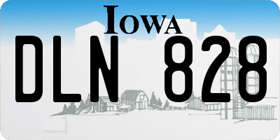 IA license plate DLN828