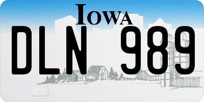 IA license plate DLN989