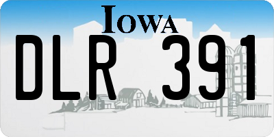 IA license plate DLR391