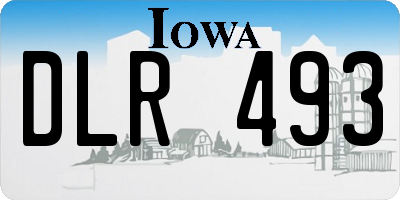 IA license plate DLR493