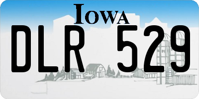IA license plate DLR529