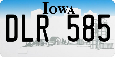 IA license plate DLR585