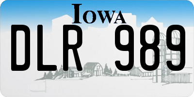 IA license plate DLR989