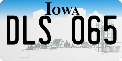 IA license plate DLS065