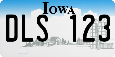 IA license plate DLS123