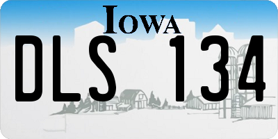 IA license plate DLS134