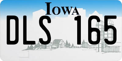 IA license plate DLS165