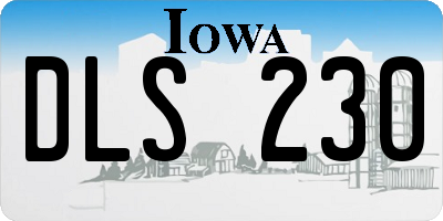 IA license plate DLS230