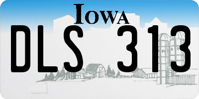 IA license plate DLS313