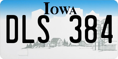 IA license plate DLS384