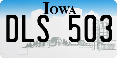 IA license plate DLS503