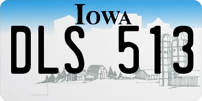 IA license plate DLS513