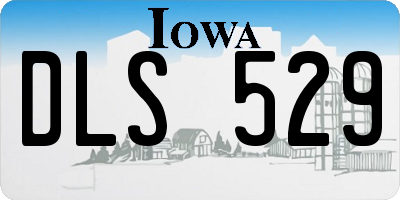 IA license plate DLS529