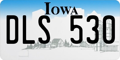 IA license plate DLS530