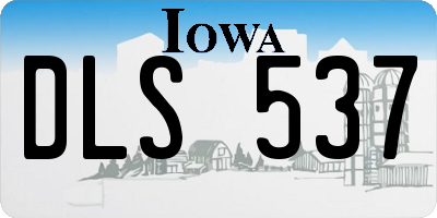 IA license plate DLS537