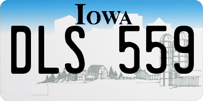 IA license plate DLS559