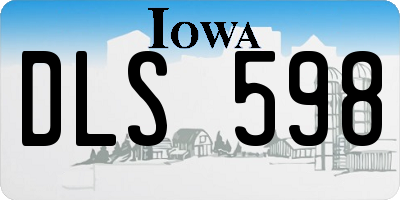 IA license plate DLS598