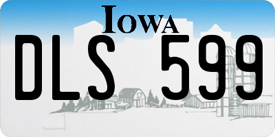 IA license plate DLS599