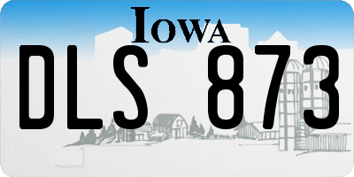 IA license plate DLS873