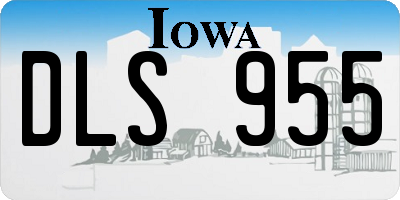 IA license plate DLS955