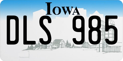 IA license plate DLS985