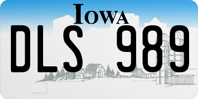 IA license plate DLS989