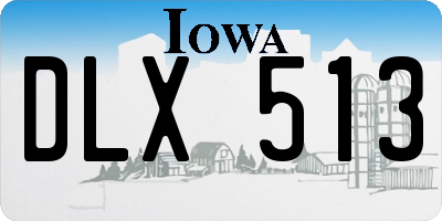 IA license plate DLX513
