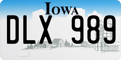 IA license plate DLX989