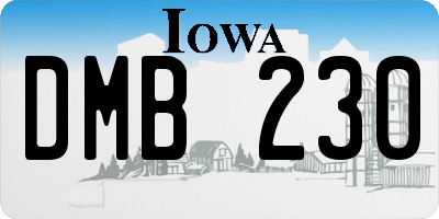 IA license plate DMB230