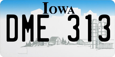 IA license plate DME313